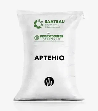 Кукуруза Артенио, п.е. 80 тыс. семян (Saatbau)