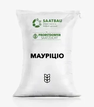 Озимая пшеница Маурицио, т (Saatbau)