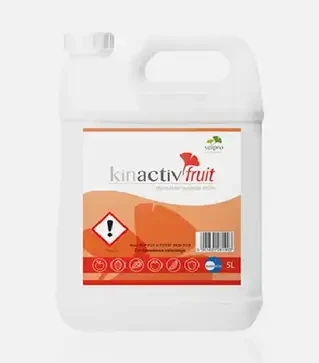 Біостимулятор Кінактив Фрут, 5 л (Sumi Agro)