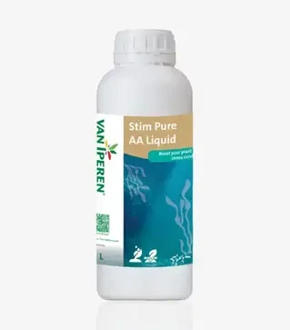 Стимулятор роста Stim Pure AA (Стим Пуре), 1 л (Eurosolids)