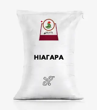 Соя Ниагара, т (Sevita Genetics)