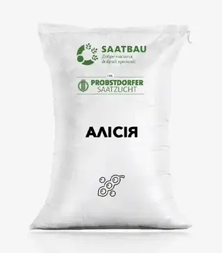 Соя Алісія, т (Saatbau)