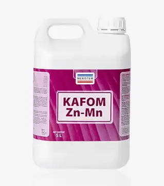 Мікродобриво Кафом Zn-Mn, 5 л (Meristem)