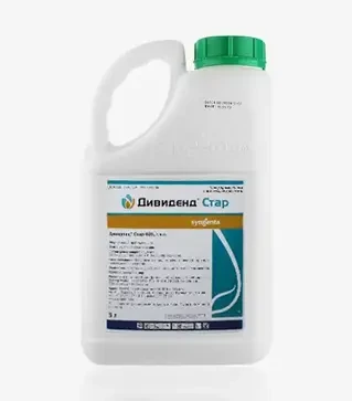Протравитель Дивиденд Стар 036, 5 л (Syngenta)