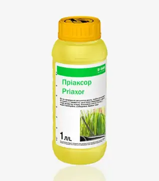 Фунгіцид Пріаксор, 1 л (Basf)