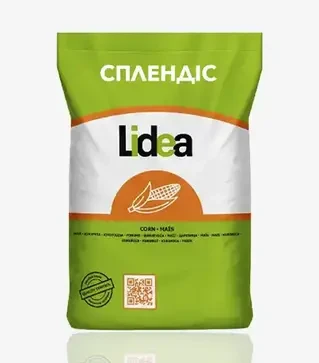 Кукурудза Сплендіс, п.о. 80 тис. насінин (Lidea)