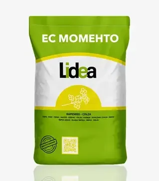 Рапс озимый ЕС Моменто, п.е. 1500 тыс. семян (Lidea)