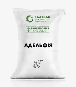 Соя Адельфия, т (Saatbau)