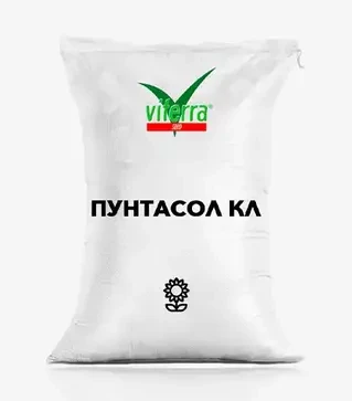Соняшник Пунтасол КЛ, п.о. 150 тис. насінин (ViterraSeed)