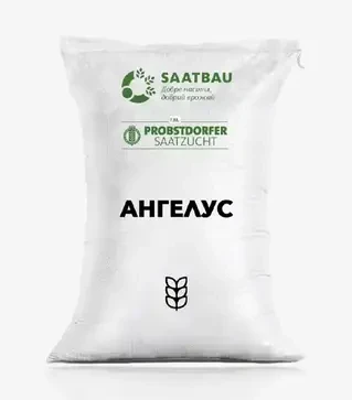 Озимая пшеница Ангелус, т (Saatbau)