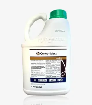 Протруйник Селест Макс 165 Fs, 5 л (Syngenta)