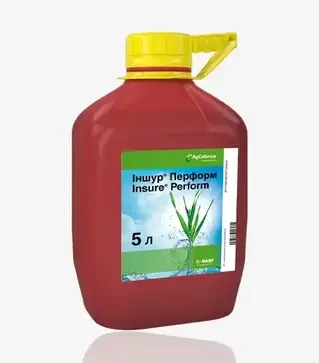 Протравитель Иншур Перформ, 5 л (Basf)