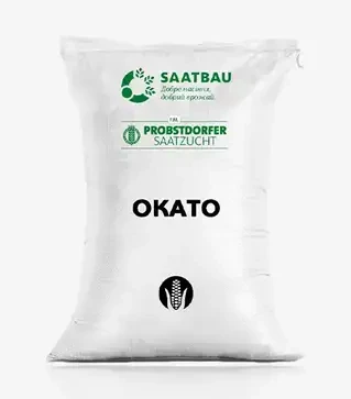 Кукурудза Окато, п.о. 80 тис. насінин (Saatbau)