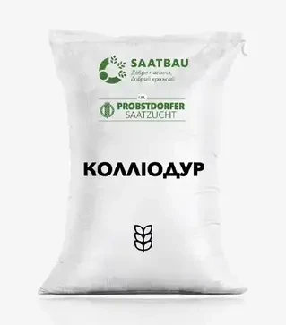 Пшениця озима Колліодур, т (Saatbau)