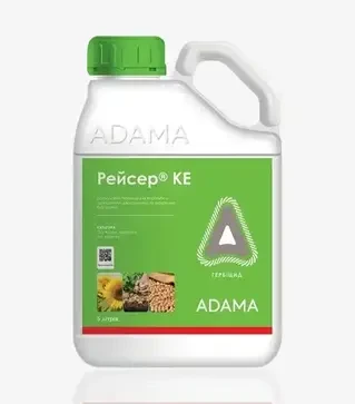 Гербіцид Рейсер, 5 л (Adama)