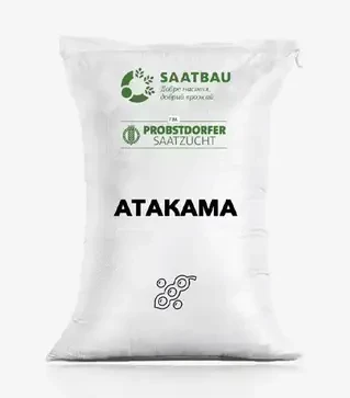 Соя Атакама, т (Saatbau)