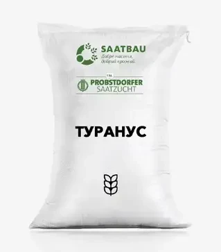 Пшениця озима Туранус, т (Saatbau)