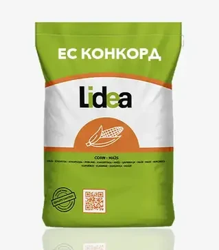Кукурудза ЕС Конкорд, п.о. 80 тис. насінин (Lidea)