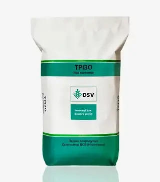 Пшеница оврага Тризо, т (DSV)