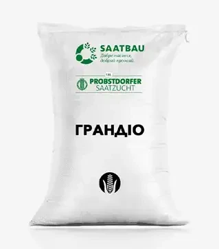 Кукурудза Грандіо, п.о. 80 тис. насінин (Saatbau)