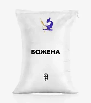 Пшеница оврага Божена, т (ИСМА НААН)