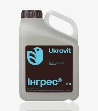 Прилипач Інгрес, 5 л (Ukravit Science Park)