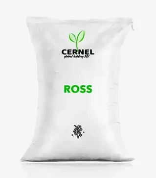 Ріпак озимий Ross (Росс), п.о. 1 500 тис. насінин (Cernel Global Holding NV)