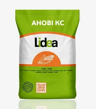 Кукурудза Анові КС, п.о. 80 тис. насінин (Lidea)