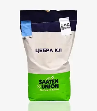 Рапс яровой Ушата КЛ, п.е. 1500 тыс. семян (Saaten Union)
