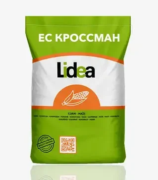 Кукуруза ЕС Кроссман, п.е. 80 тыс. семян (Lidea)