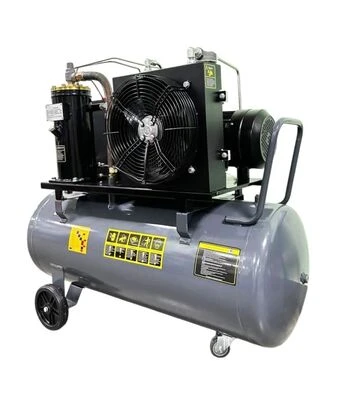 Компрессор винтовой GTM DLG5.5V - фото 2