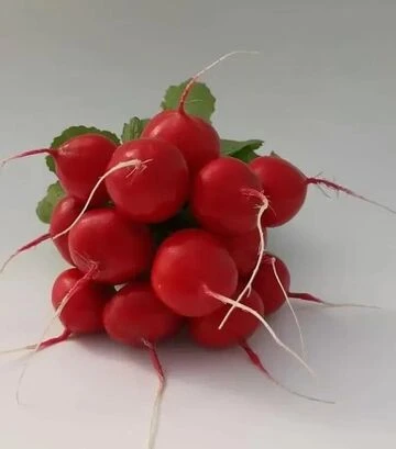 Семена редиса KS 1297 F1, 250 г (Kitano Seeds) - фото 2