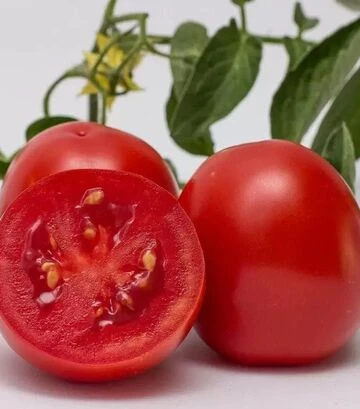 Насіння томату Чезена F1, п.о. 5 тис. насінин (Libra Seeds) - фото 3