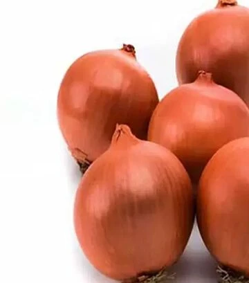 Насіння ріпчастої цибулі Фундадор F1, п.о. 250 тис. насінин (Cora Seeds) - фото 2
