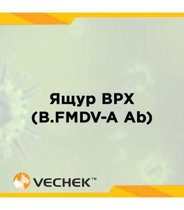 Экспресс-тесты VECHEK на антитела к вирусу ящура КРС (B.FMDV-A Ab), VIPFMA-302, 10 тестов - фото 2
