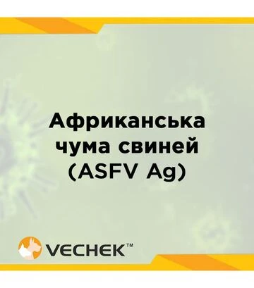 Экспресс-тесты VECHEK для выявления антигена вируса африканской чумы свиней (ASFV Ag), VIASFG-402, 10 тестов - фото 2