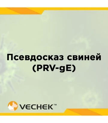 Экспресс-тесты VECHEK для выявления антител к гликопротеину gE вируса псевдобешенства свиней (PRV-gE Ab), VIPRE-302, 10 тестов - фото 2