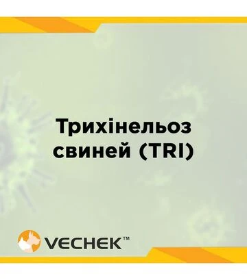 Экспресс-тесты VECHEK для выявления антител к трихинеллезу свиней (TRI Ab), VITR-402, 10 тестов - фото 2