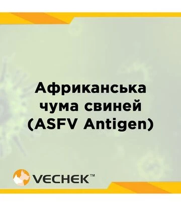 Експрес-тести VECHEK для виявлення антигену ВАЧС у сироватці, плазмі або тканині (ASFV Ag), VIASFG-402, 10 тестів - фото 2