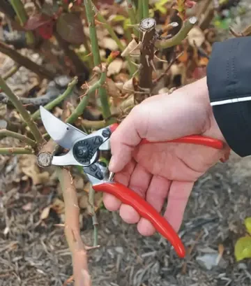 Секатор FELCO 11, 25 мм - фото 2