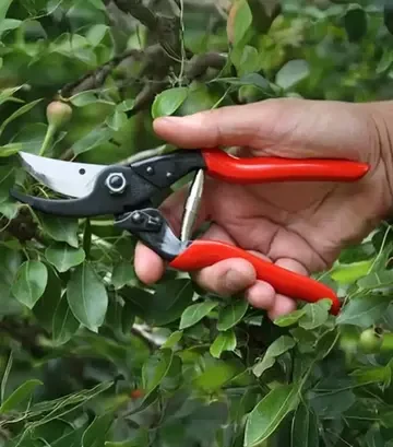 Секатор FELCO 5, 25 мм - фото 2