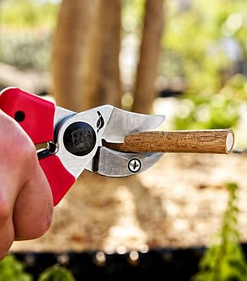 Секатор с наковальней эргономичный FELCO 171M-А Эконом, средний - фото 3