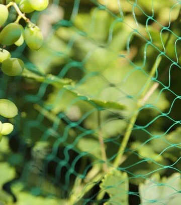 Сетка от птиц Nortene Intermas Birdnet, 4x100 м - фото 2
