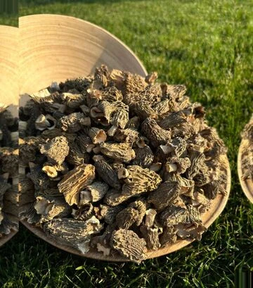 Сушеная сморчковая шапочка Полисянка, 50 г - фото 2