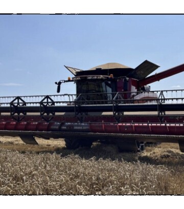 Зерноуборочный комбайн Case IH Axial Flow 8230, 2015 г.в, 2626 м/ч, б/у - фото 2