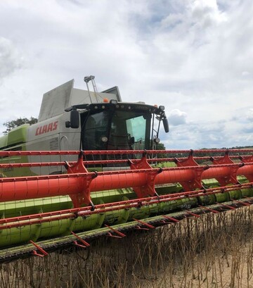 Зернозбиральний комбайн Claas Lexion 750, 2019 р.в, 2100 м/год, б/в - фото 3