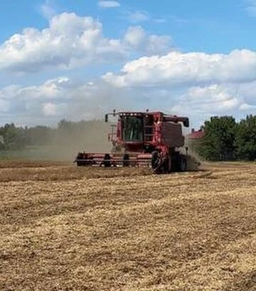 Зерноуборочный комбайн Case IH 2366, 1999 г.в, 3400 м/ч, б/у - фото 2