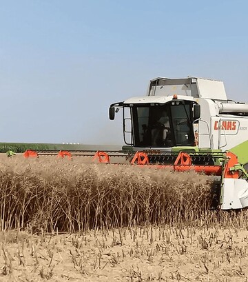 Зерноуборочный комбайн Claas Lexion 550, 2004 г.в, 4000 м/ч, б/у - фото 2