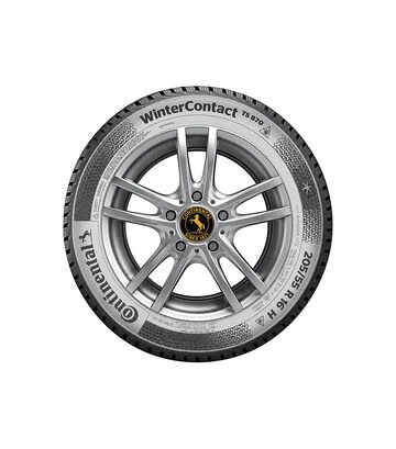 Шина Continental ContiWinterContact TS 870 205/60R16 92T TL - фото 2