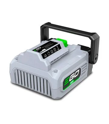 Инвертор EGO PAD5000E 56-220В, 400Вт, с LED-фонарем (F130018001) - фото 2